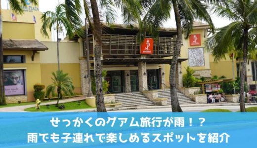 妊婦でも食べられる沖縄旅行で美味しかったもの7選 ノーマイレージ ノーライフ