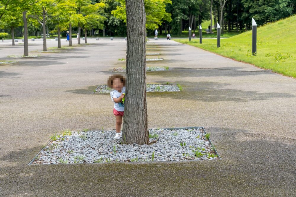 モエレ沼公園(ガラスのピラミッド外)