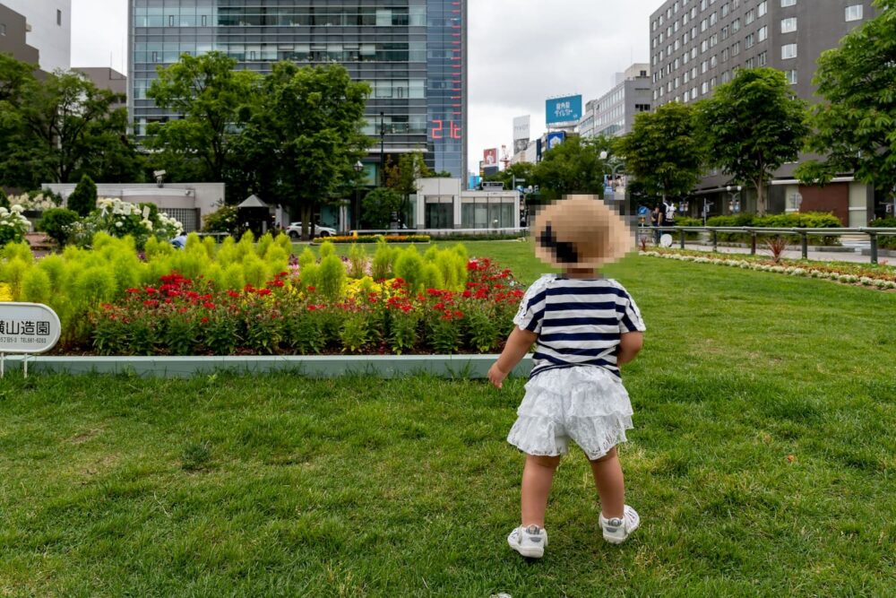大通り公園(造園会社の花壇)
